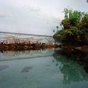 South Pacific Aquarium