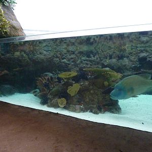 South Pacific Aquarium