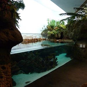 South Pacific Aquarium