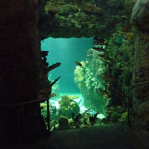 South Pacific Aquarium