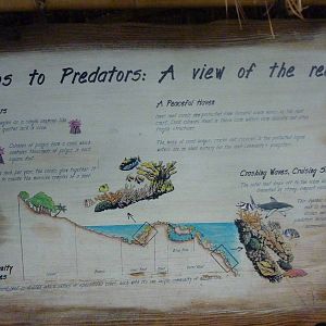 South Pacific Aquarium Sign