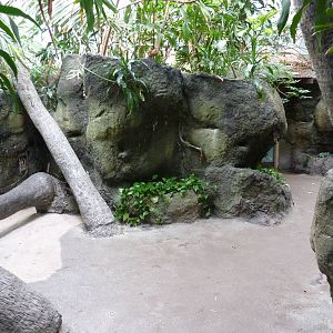 South Pacific Aquarium