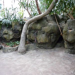 South Pacific Aquarium