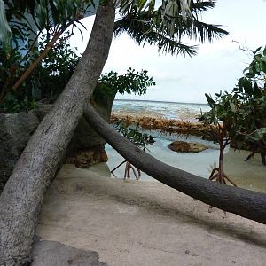 South Pacific Aquarium