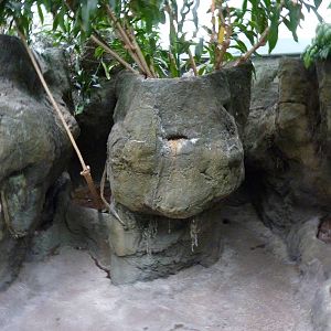 South Pacific Aquarium