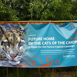 Asian Forest Sanctuary - Clouded Leopard Sign
