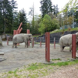 Asian Forest Sanctuary - Elephant Enclosure