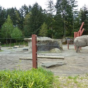 Asian Forest Sanctuary - Elephant Enclosure