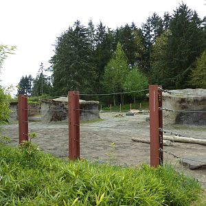 Asian Forest Sanctuary - Elephant Enclosure