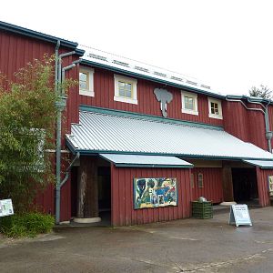 Asian Forest Sanctuary - Elephant Barn
