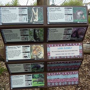 Asian Forest Sanctuary - Rotation Exhibit Signage