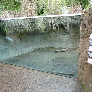 Asian Forest Sanctuary - Rotation Exhibit