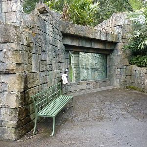 Asian Forest Sanctuary - Rotation Exhibit