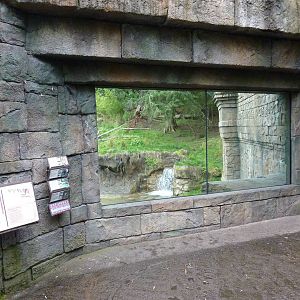 Asian Forest Sanctuary - Rotation Exhibit