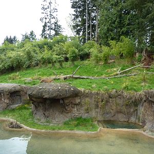 Asian Forest Sanctuary - Rotation Exhibit