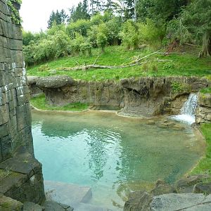 Asian Forest Sanctuary - Rotation Exhibit