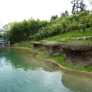 Asian Forest Sanctuary - Rotation Exhibit