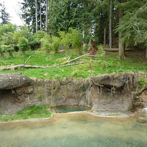 Asian Forest Sanctuary - Rotation Exhibit