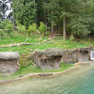 Asian Forest Sanctuary - Rotation Exhibit