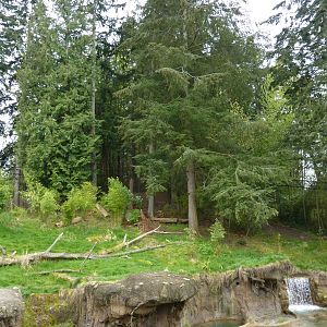 Asian Forest Sanctuary - Rotation Exhibit