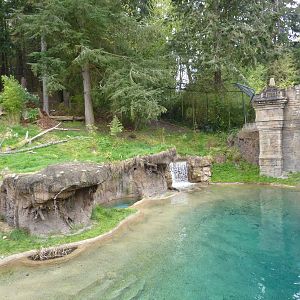 Asian Forest Sanctuary - Rotation Exhibit