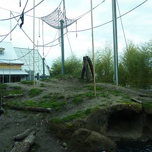 Asian Forest Sanctuary - Rotation Exhibit