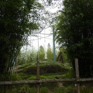 Asian Forest Sanctuary - Rotation Exhibit