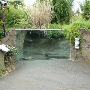 Asian Forest Sanctuary - Rotation Exhibit
