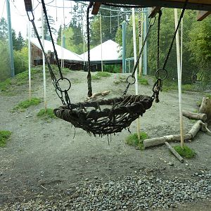 Asian Forest Sanctuary - Rotation Exhibit