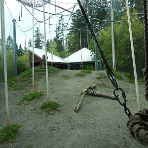Asian Forest Sanctuary - Rotation Exhibit