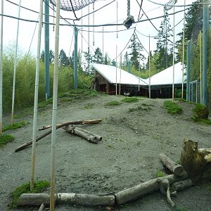 Asian Forest Sanctuary - Rotation Exhibit
