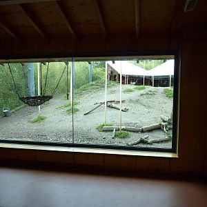 Asian Forest Sanctuary - Rotation Exhibit