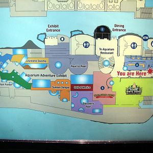Aquarium Adventure Exhibit Floorplan