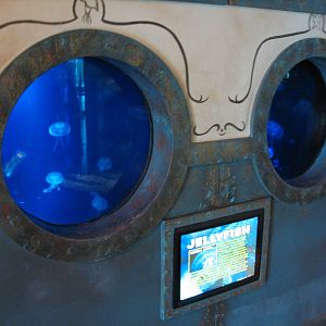 Real to Reel - Moon Jelly Exhibits