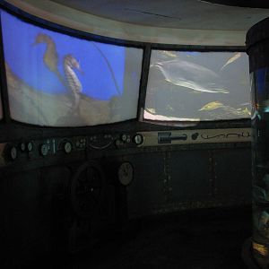 Real to Reel - Projection Wall