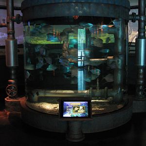 Real to Reel - Lookdown Exhibit