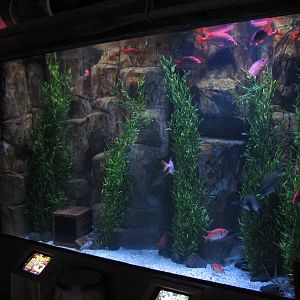 Shipwreck - Black Margate Etc Exhibit