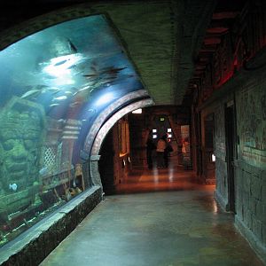 Sunken Temple - Interior