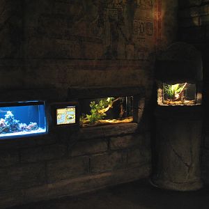 Sunken Temple - Seahorse, Axolotl, and Tarantula Exhibits