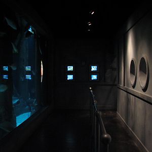 Gulf of Mexico - Interior