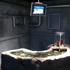 Discovery Rig - Horseshoe Crab Touch Tank