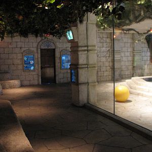 White Tigers of the Maharaja's Temple - Viewing Area