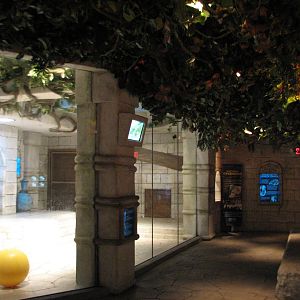 White Tigers of the Maharaja's Temple - Viewing Area