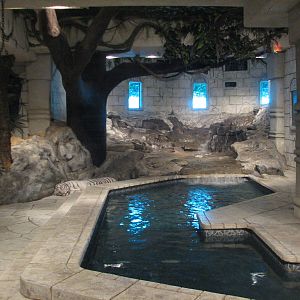 White Tigers of the Maharaja's Temple - Interior
