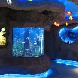 Restaurant Lobby - Tank