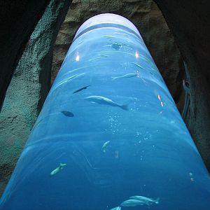 Restaurant Lobby - 3 Story Column Tank