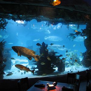 Restaurant - 150,000 Gallon Tank