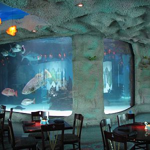 Restaurant - 150,000 Gallon Tank