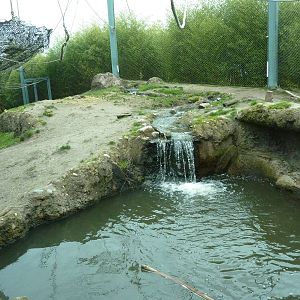 Asian Forest Sanctuary - Rotation Exhibit