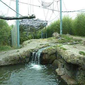 Asian Forest Sanctuary - Rotation Exhibit